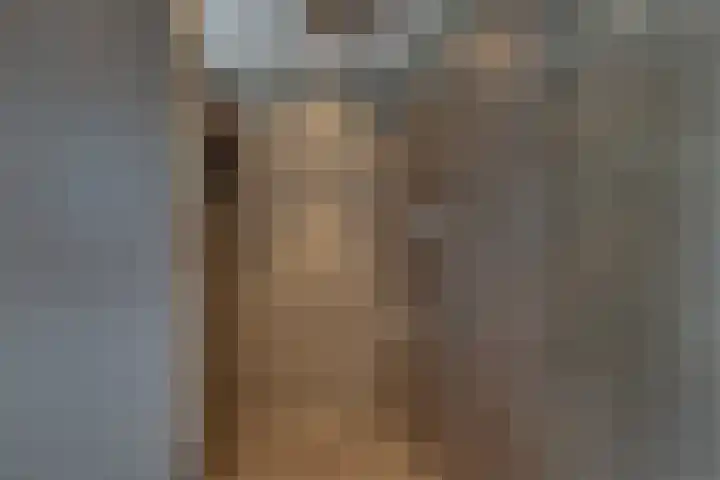 Engelse Schans 38 Lievelde thumbnail 14
