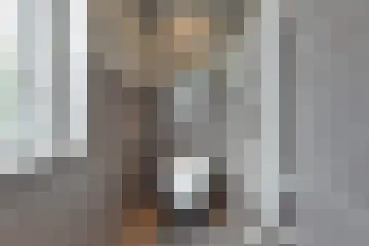 Engelse Schans 38 Lievelde thumbnail 15
