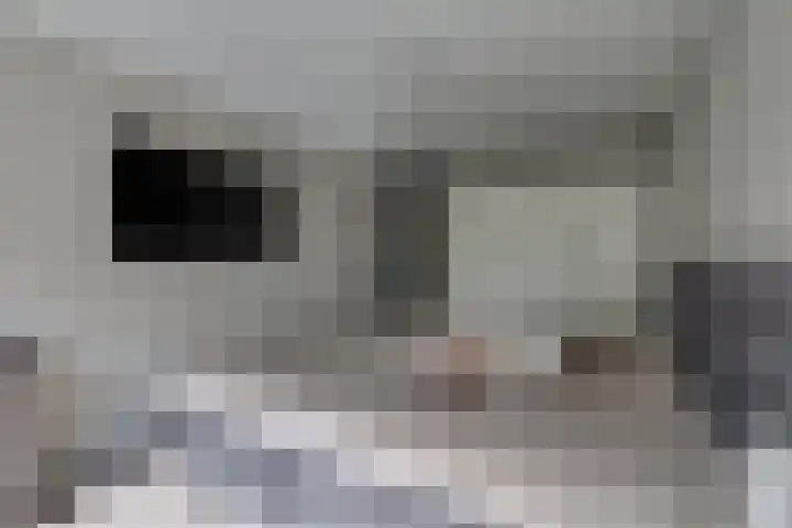 Engelse Schans 38 Lievelde thumbnail 17