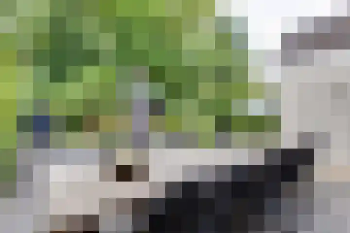 Engelse Schans 38 Lievelde thumbnail 25