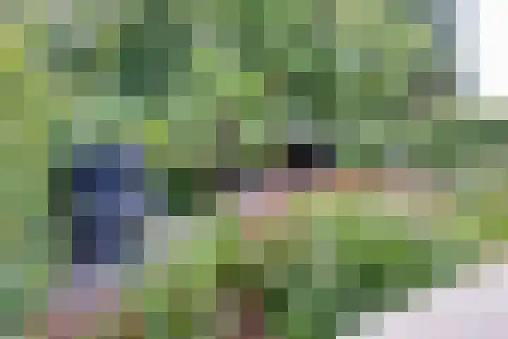 Engelse Schans 38 Lievelde thumbnail 26