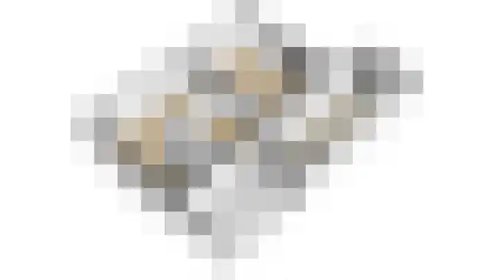 Engelse Schans 38 Lievelde thumbnail 40
