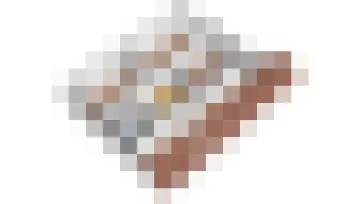 Engelse Schans 38 Lievelde thumbnail 41