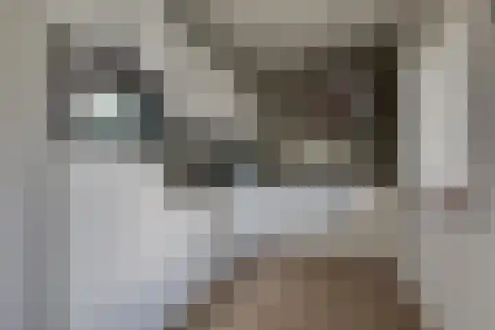 Engelse Schans 38 Lievelde thumbnail 9