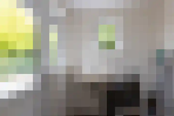 Engelse Schans 6 Lievelde thumbnail 10