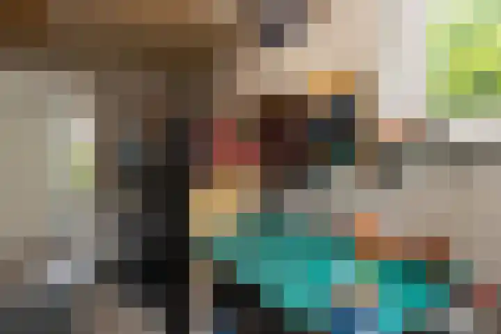 Engelse Schans 6 Lievelde thumbnail 12
