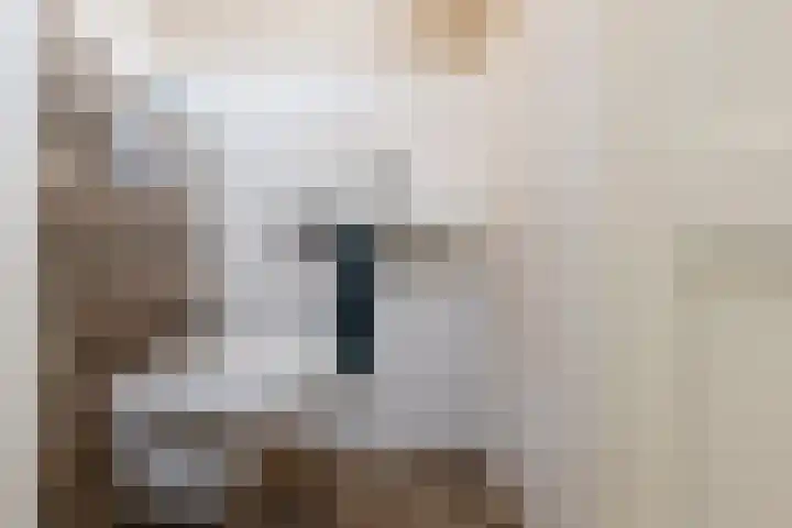 Engelse Schans 6 Lievelde thumbnail 13