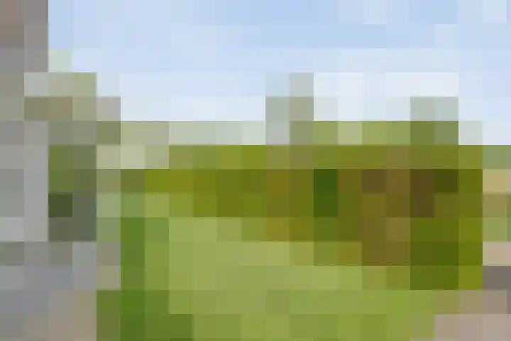Engelse Schans 6 Lievelde thumbnail 14