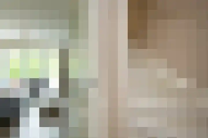 Engelse Schans 6 Lievelde thumbnail 14