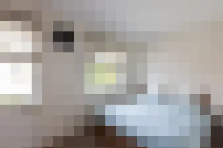 Engelse Schans 6 Lievelde thumbnail 15