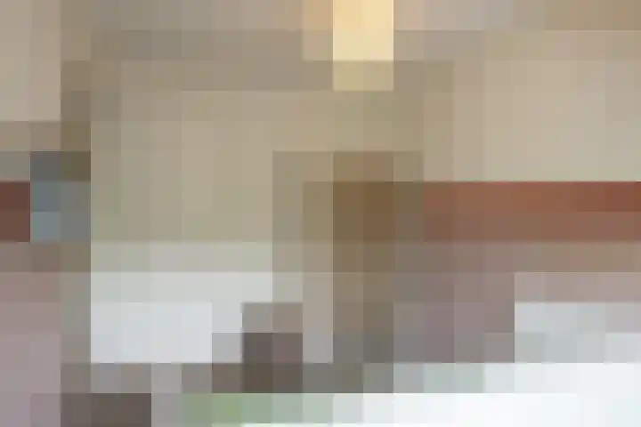 Engelse Schans 6 Lievelde thumbnail 19