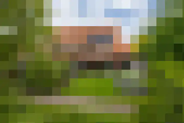 Engelse Schans 6 Lievelde foto 2