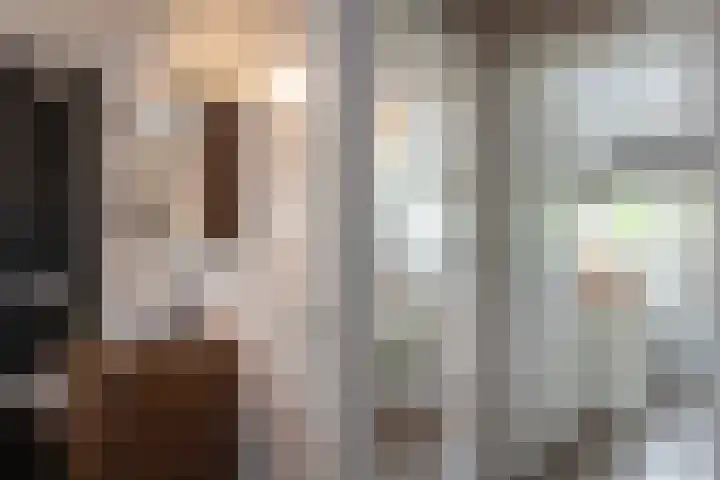Engelse Schans 6 Lievelde thumbnail 22