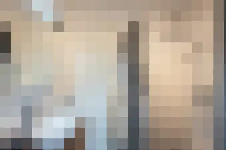 Engelse Schans 6 Lievelde thumbnail 26