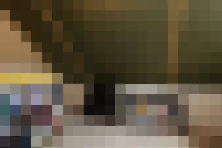 Engelse Schans 6 Lievelde thumbnail 29