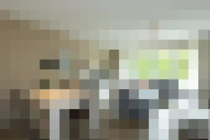 Engelse Schans 6 Lievelde foto 3