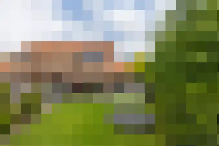 Engelse Schans 6 Lievelde thumbnail 30