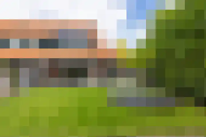 Engelse Schans 6 Lievelde thumbnail 31