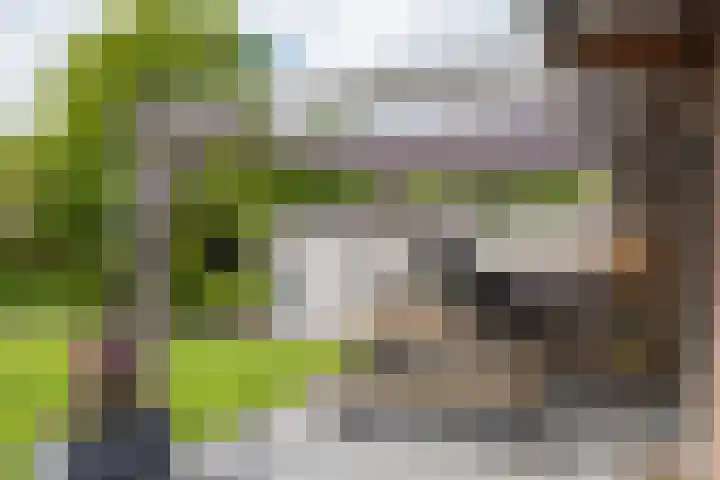 Engelse Schans 6 Lievelde thumbnail 33