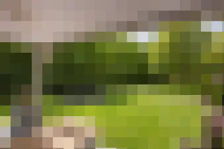 Engelse Schans 6 Lievelde thumbnail 34