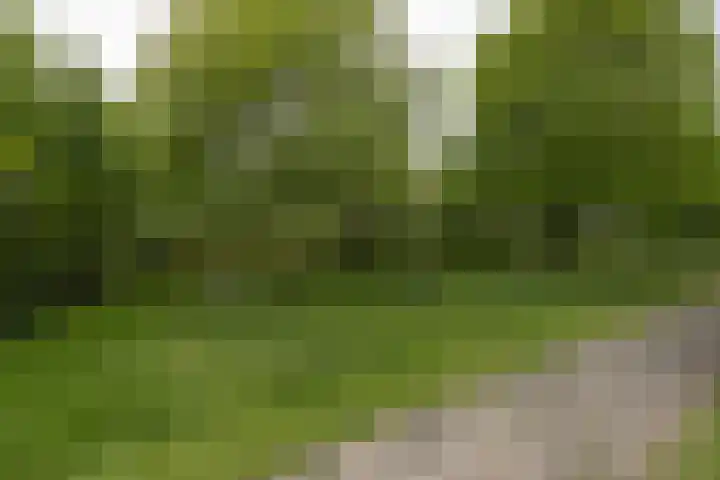 Engelse Schans 6 Lievelde thumbnail 36