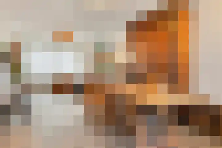 Engelse Schans 6 Lievelde thumbnail 37