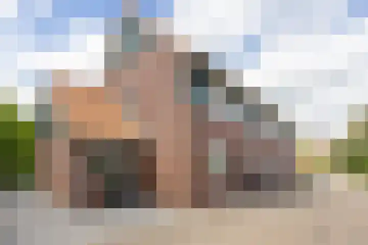 Engelse Schans 6 Lievelde thumbnail 39