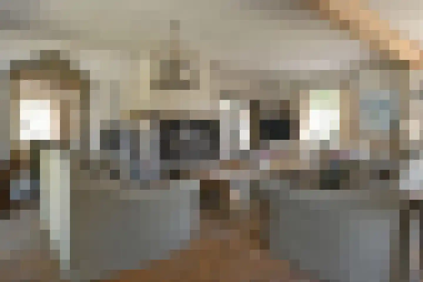 Engerstraat 4 Haler thumbnail 10