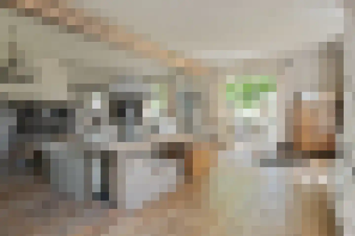 Engerstraat 4 Haler thumbnail 11
