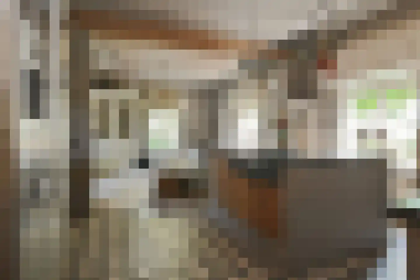 Engerstraat 4 Haler thumbnail 13
