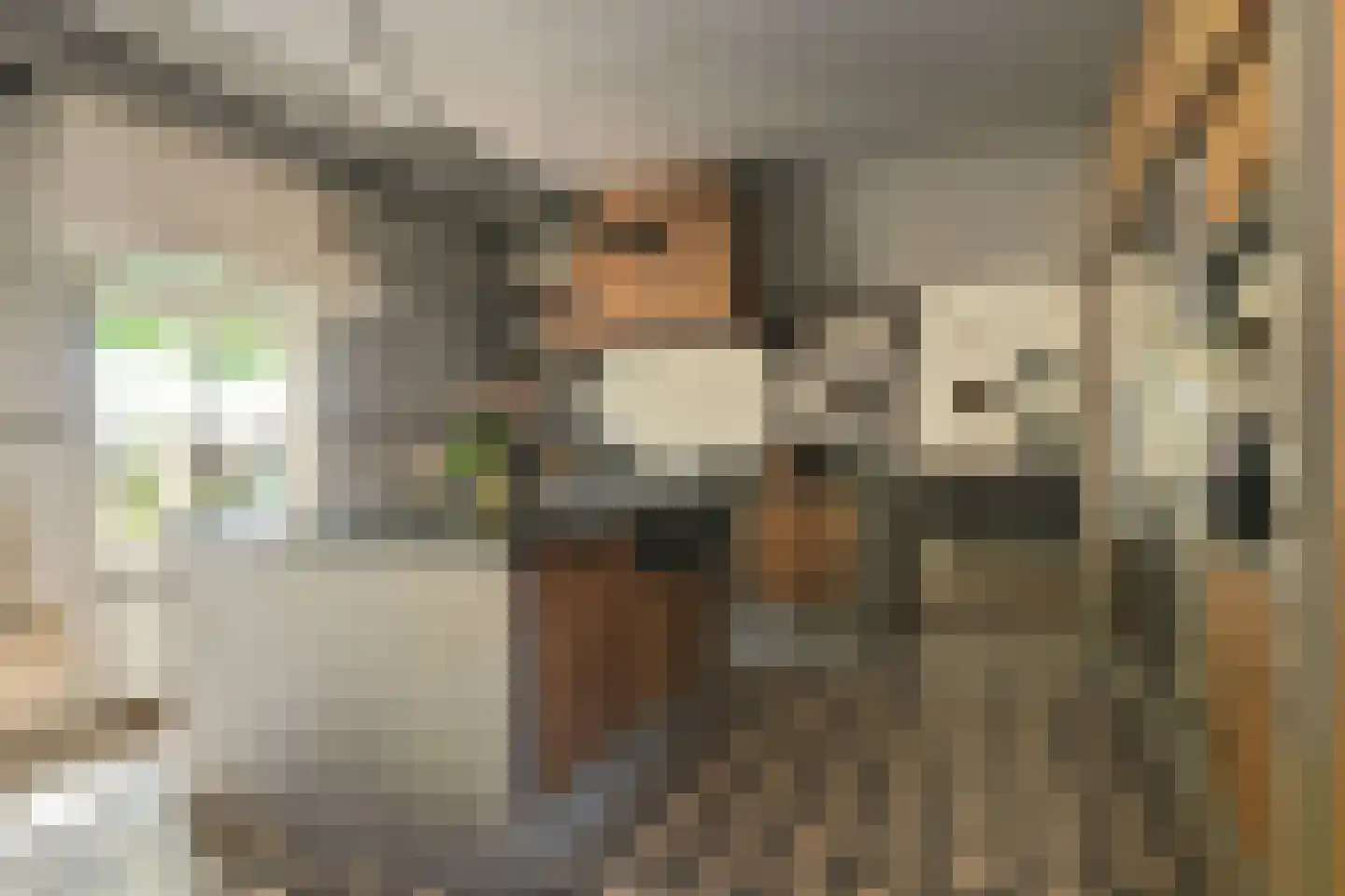 Engerstraat 4 Haler thumbnail 14