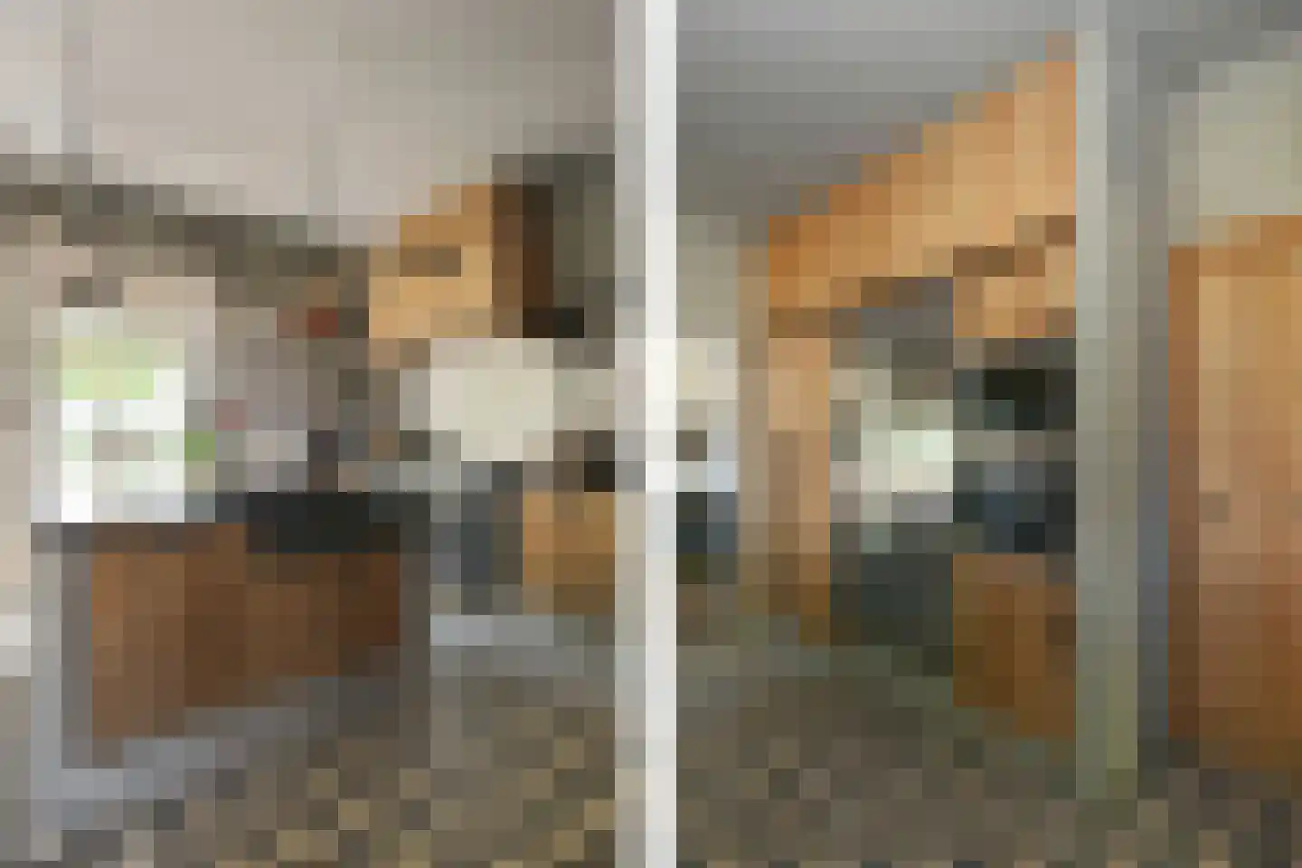 Engerstraat 4 Haler thumbnail 16