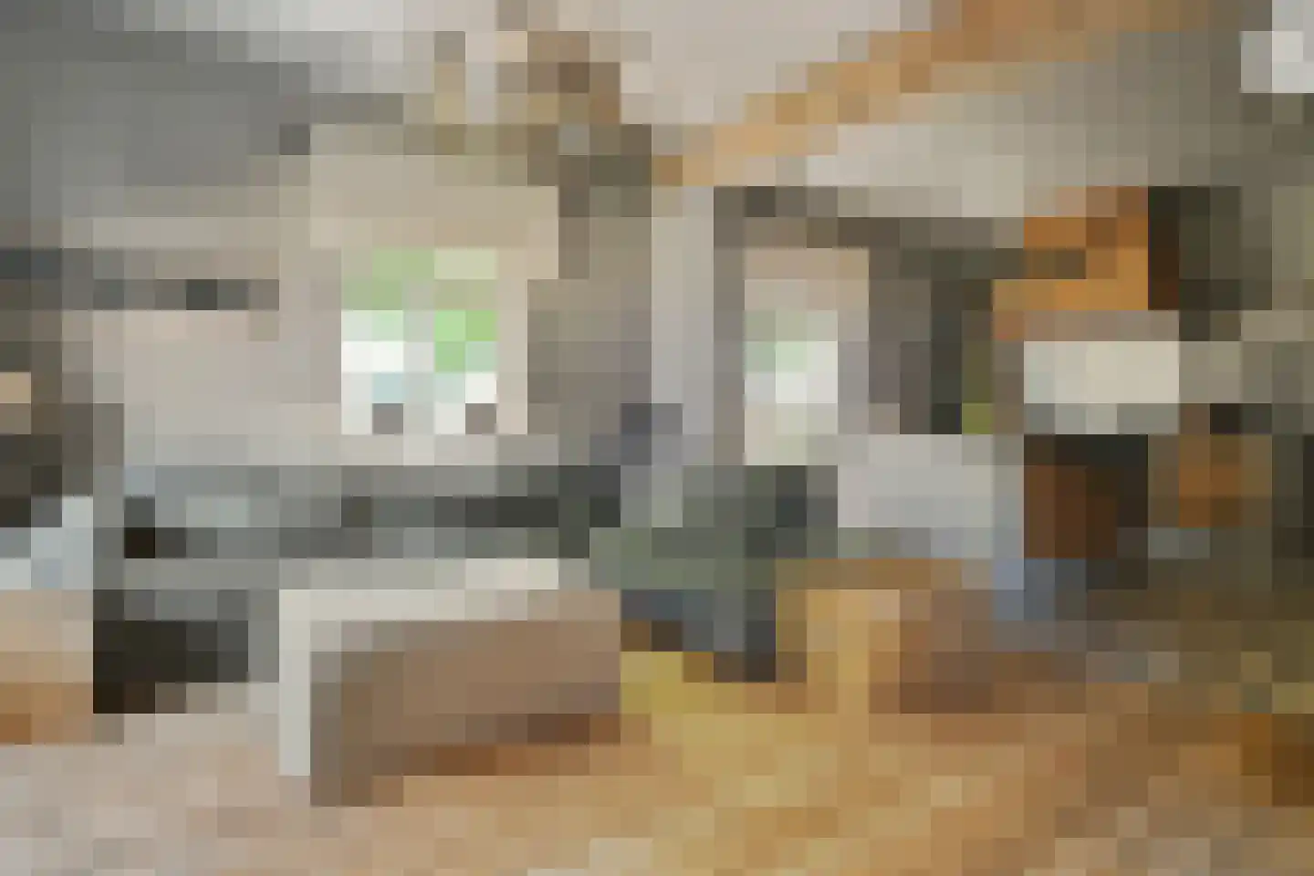 Engerstraat 4 Haler thumbnail 17