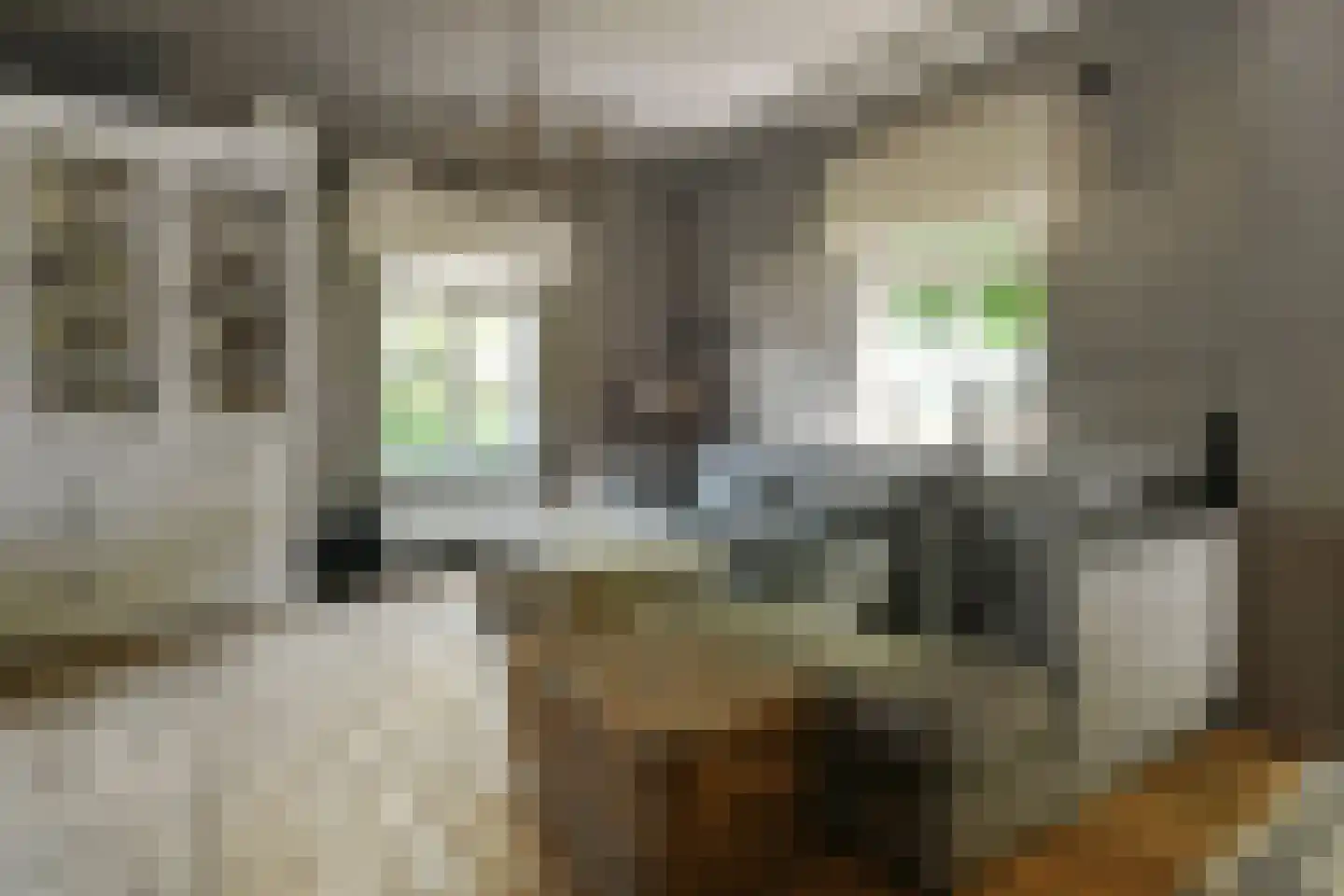 Engerstraat 4 Haler thumbnail 18