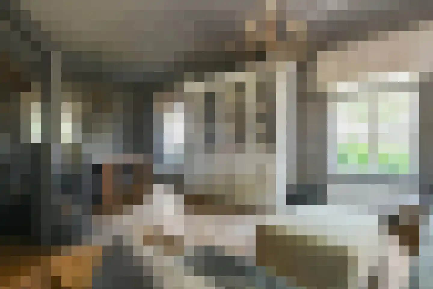 Engerstraat 4 Haler thumbnail 19