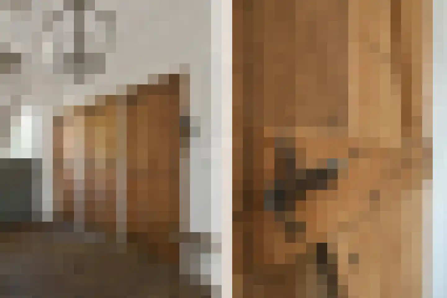 Engerstraat 4 Haler thumbnail 21