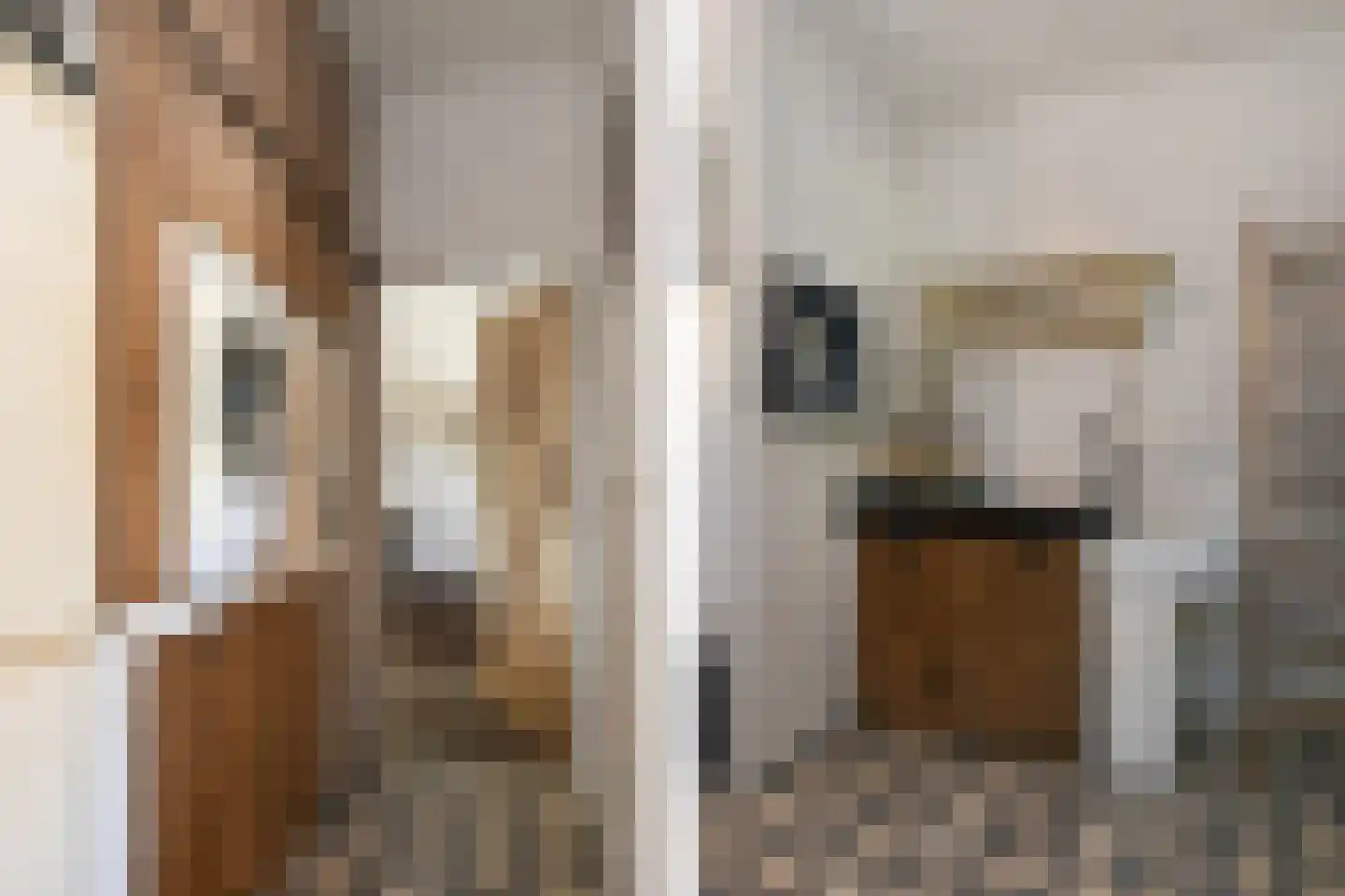 Engerstraat 4 Haler thumbnail 22