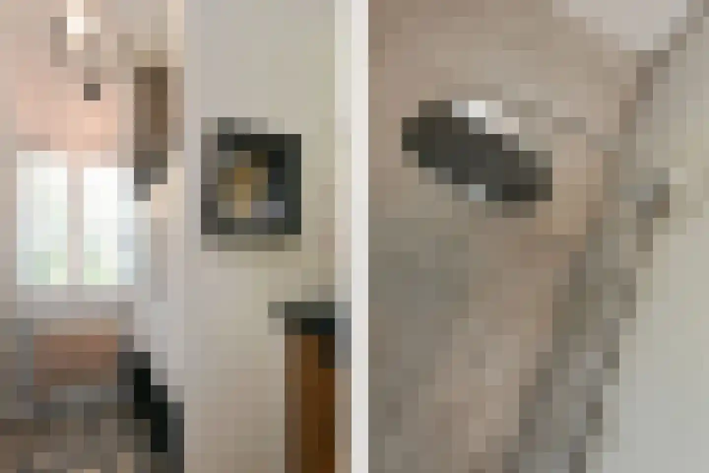 Engerstraat 4 Haler thumbnail 23