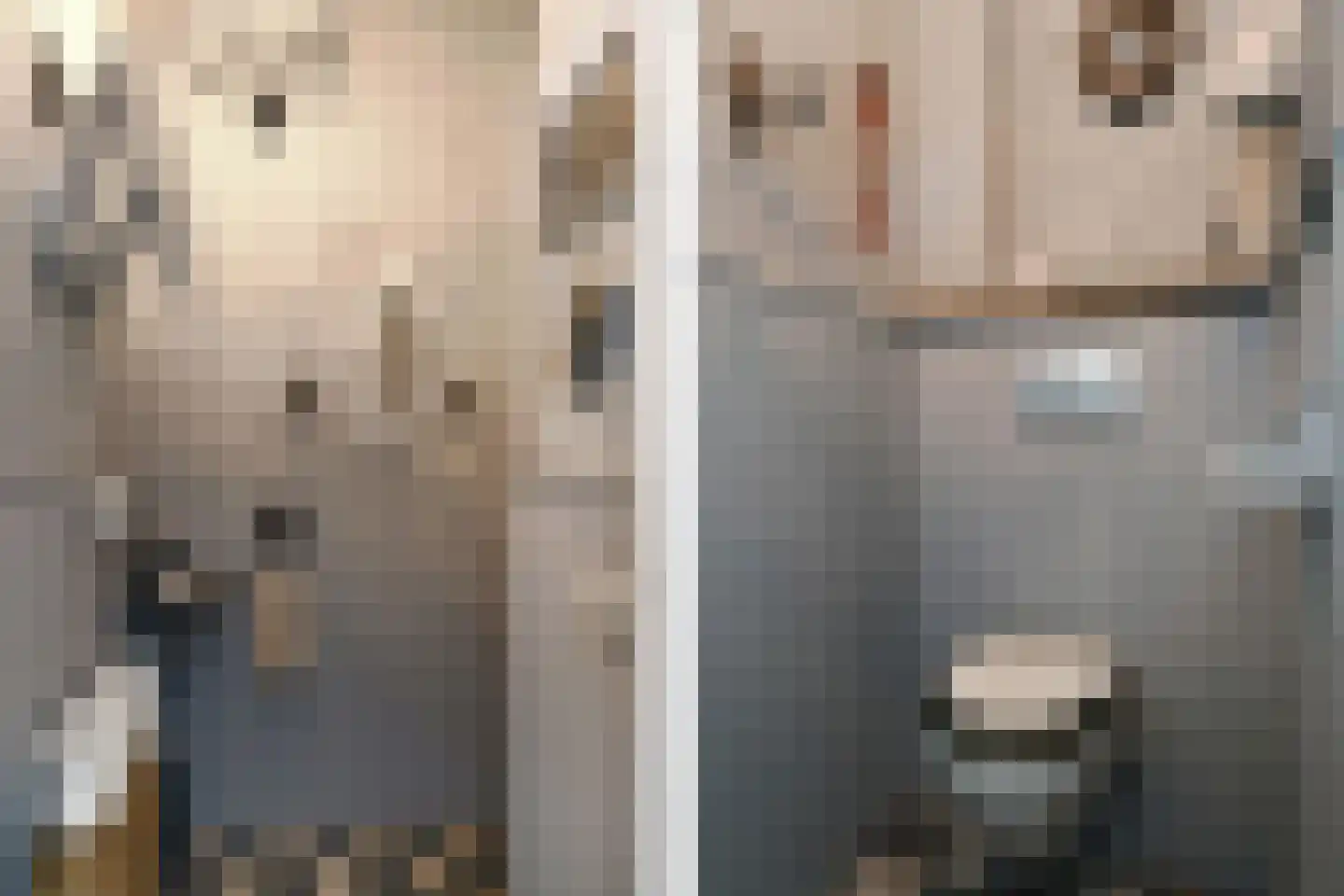 Engerstraat 4 Haler thumbnail 24