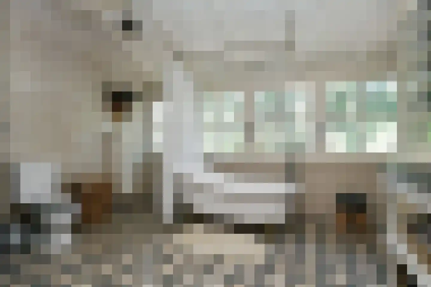 Engerstraat 4 Haler thumbnail 28