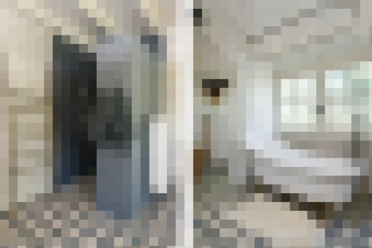 Engerstraat 4 Haler thumbnail 30