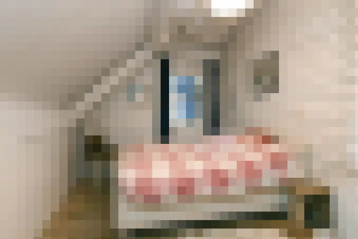 Engerstraat 4 Haler thumbnail 32
