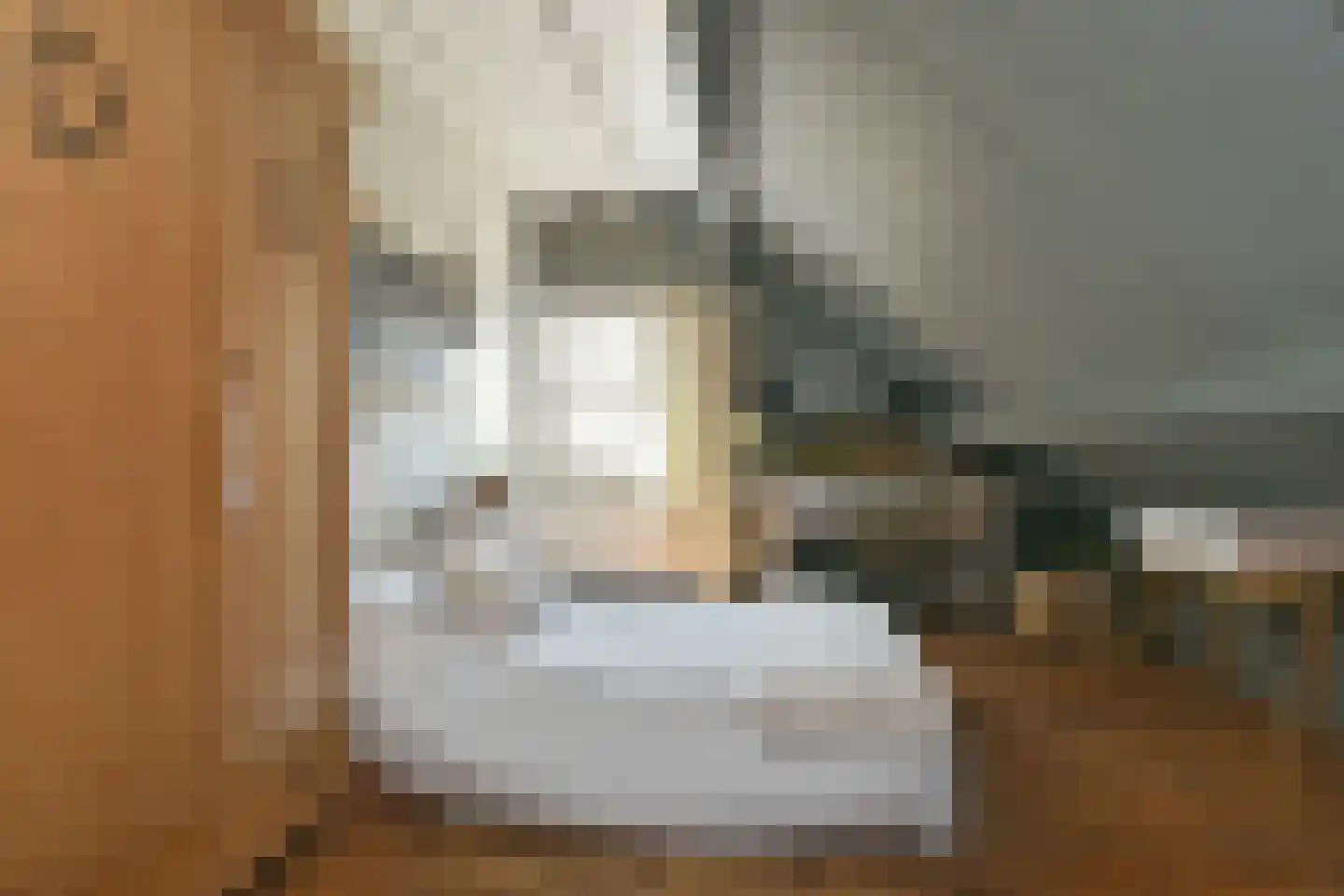 Engerstraat 4 Haler thumbnail 34