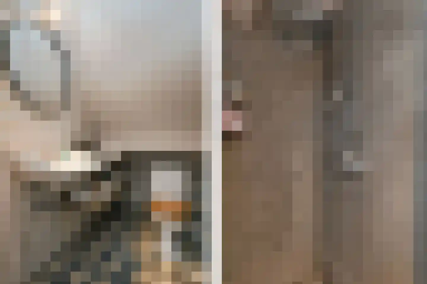 Engerstraat 4 Haler thumbnail 35