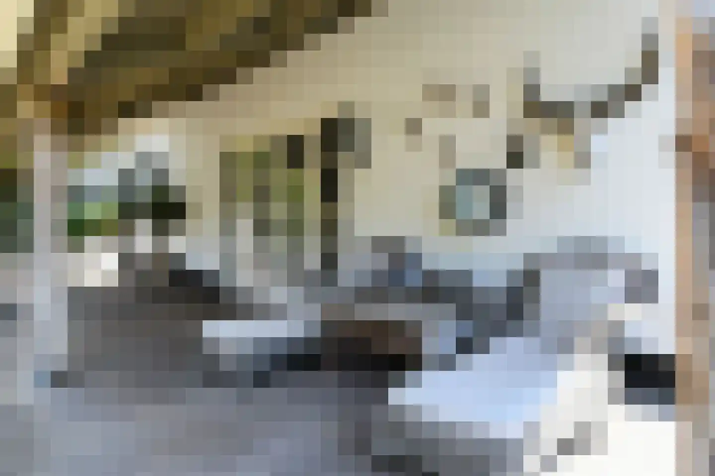 Engerstraat 4 Haler thumbnail 36