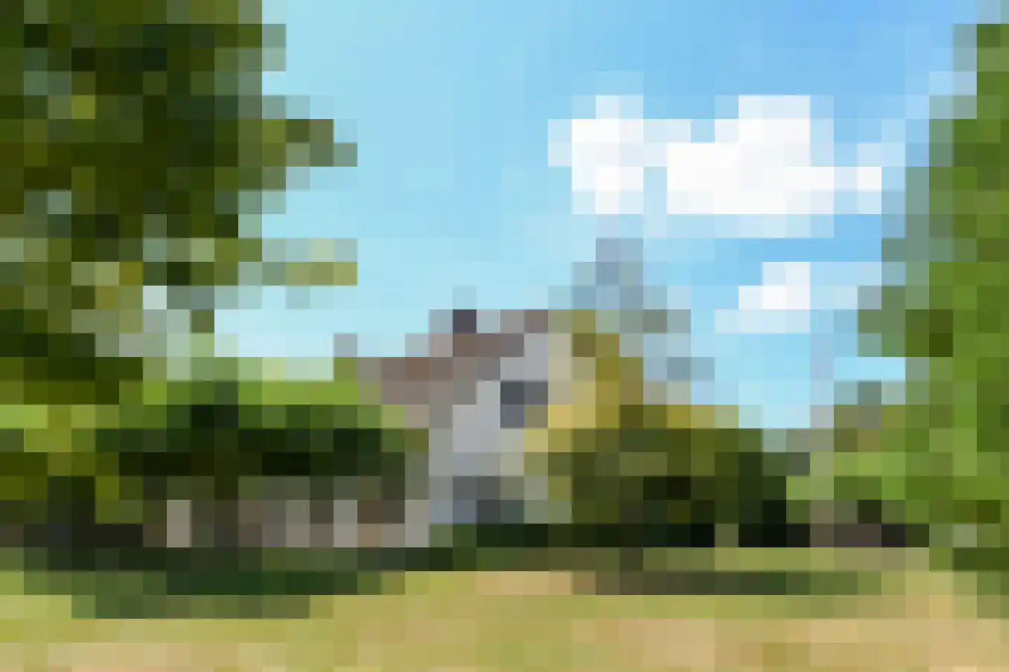 Engerstraat 4 Haler thumbnail 4