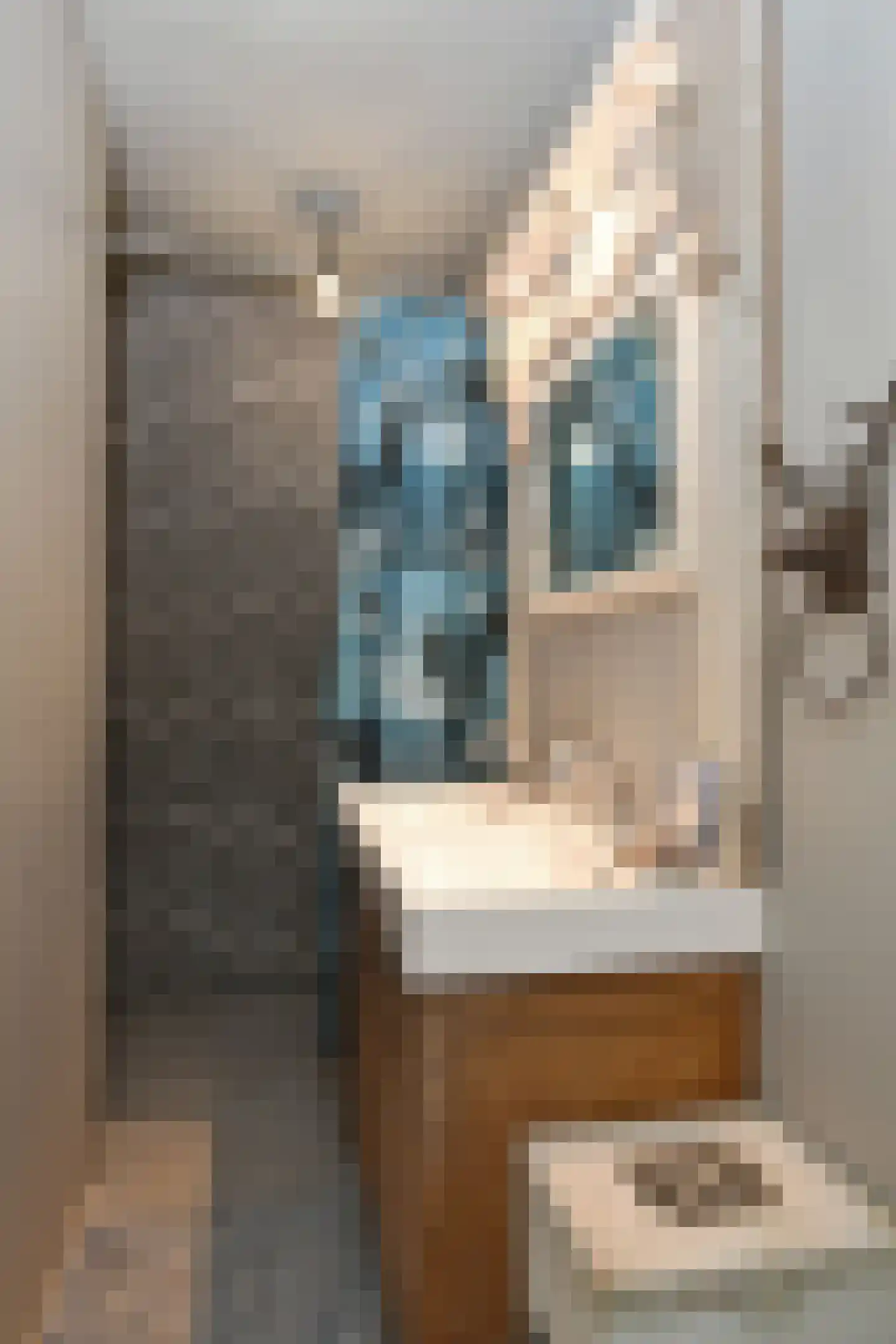 Engerstraat 4 Haler thumbnail 41