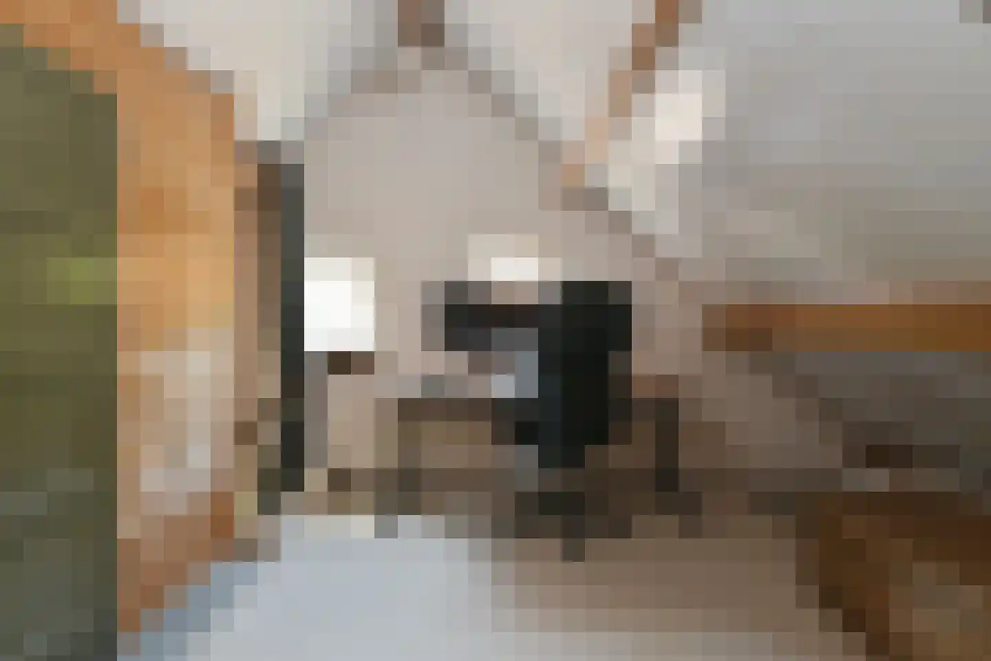 Engerstraat 4 Haler thumbnail 42
