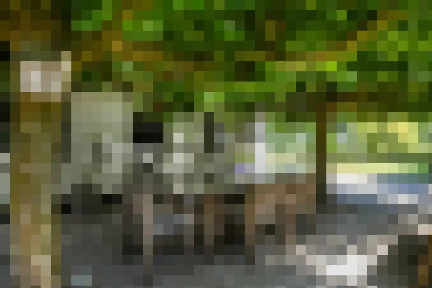 Engerstraat 4 Haler thumbnail 44