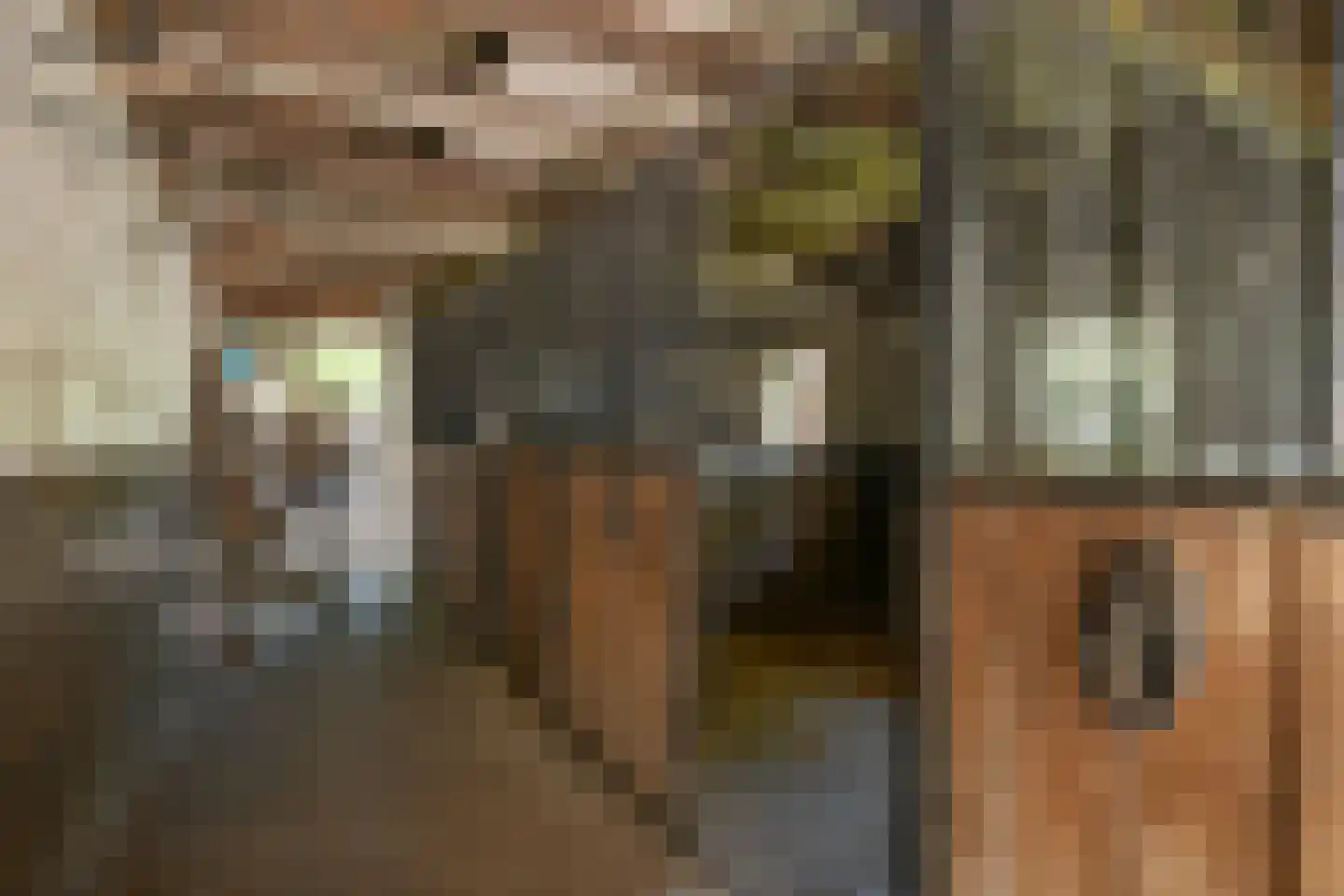 Engerstraat 4 Haler thumbnail 48